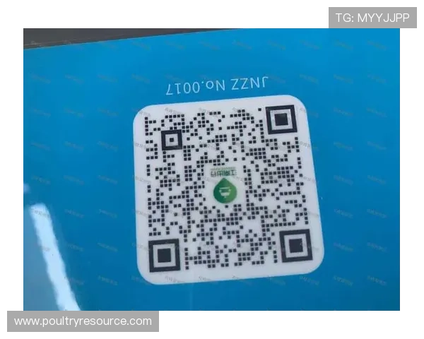 bwin娱乐：如何利用平台提供的优惠券和奖励机制提升游戏体验