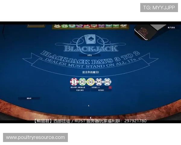 21点大小玩法详解帮助新手快速掌握游戏技巧提升获胜几率 21点大小玩法详解帮助新手快速掌握游戏技巧提升获胜几率