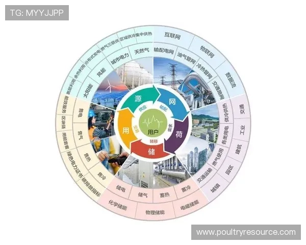 5g智能电网白皮书为智能电网的未来发展提供政策支持与技术创新的双重保障 5g智能电网白皮书为智能电网的未来发展提供政策支持与技术创新的双重保障