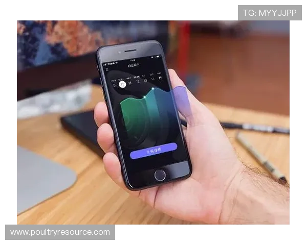 73882x必赢用户体验评测：平台操作界面与客户服务的全面分析