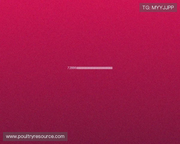 72886必赢网站如何利用数据分析优化游戏玩法提升玩家粘性 72886必赢网站如何利用数据分析优化游戏玩法提升玩家粘性