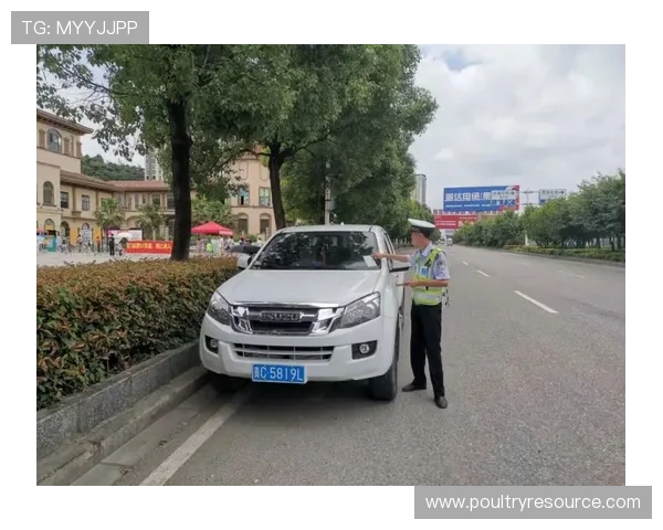 BTI体育登录入口安全保障措施,确保用户个人信息与账户安全无忧 BTI体育登录入口安全保障措施,确保用户个人信息与账户安全无忧