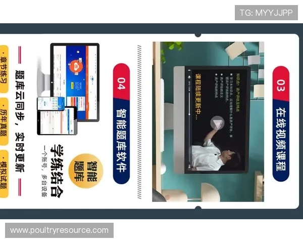 B体育官方入口详细操作流程,确保新手玩家快速顺利注册与登录体验 B体育官方入口详细操作流程,确保新手玩家快速顺利注册与登录体验