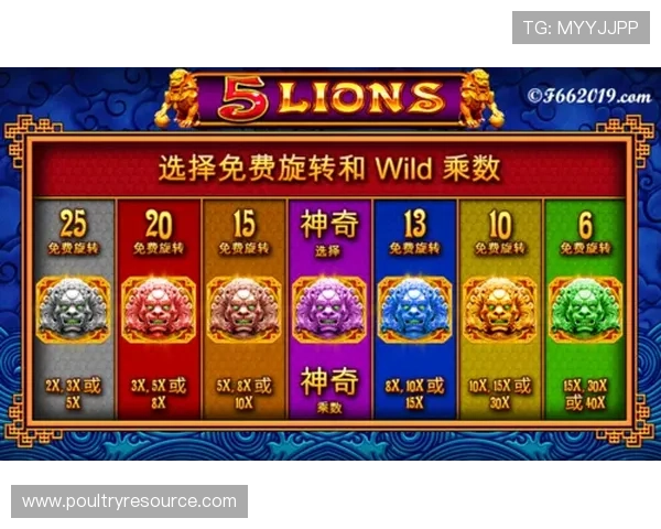 PP电子官方网站提供的最新优惠活动和促销信息详细解析助你赢取更多奖励