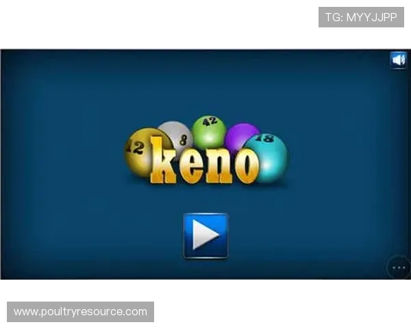 keno官网提供的多样化游戏类型介绍,满足不同玩家的娱乐需求与玩法偏好