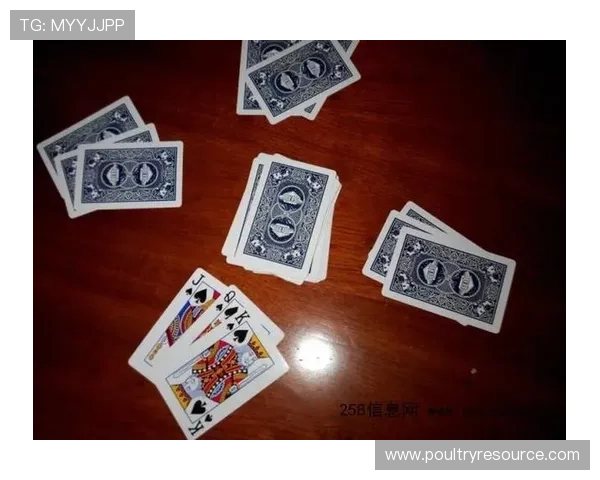 三公怎么玩技巧分享提升游戏水平的实用经验与操作建议