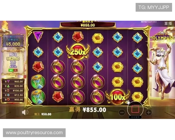 PP电子游戏免费试玩资源大全，最新优惠活动和试玩技巧分享