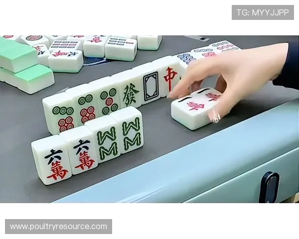 三公牌型中最大的牌介绍以及提升牌技的实战经验和牌型分析指南