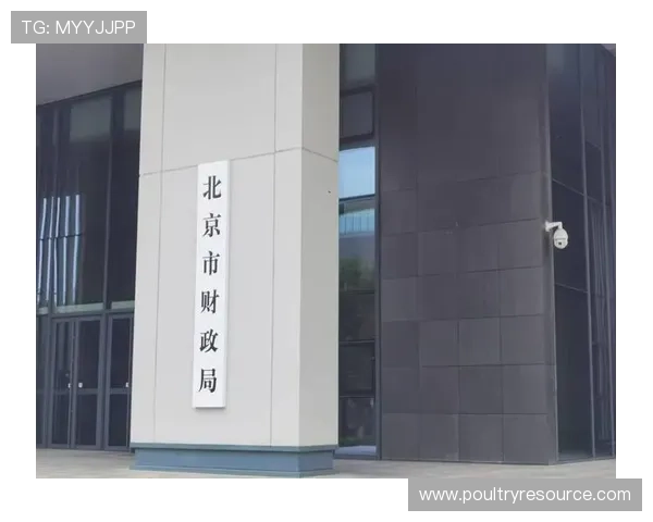 三公经费是哪三公的监督管理体系建设,提升财政资金使用的透明度 三公经费是哪三公的监督管理体系建设,提升财政资金使用的透明度