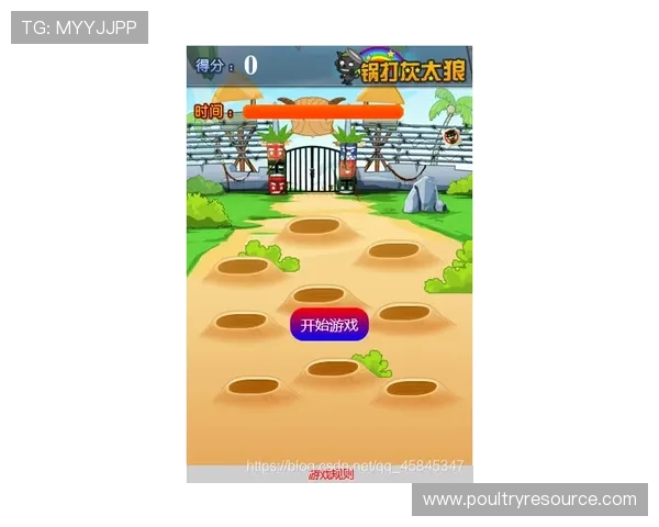 三公牛牛金花锅子跑得快游戏技巧与玩法详解，轻松掌握赢取大奖的秘诀