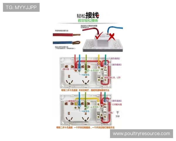 三公牛牛炸金花游戏规则全面解析帮助新手快速入门掌握玩法技巧 三公牛牛炸金花游戏规则全面解析帮助新手快速入门掌握玩法技巧