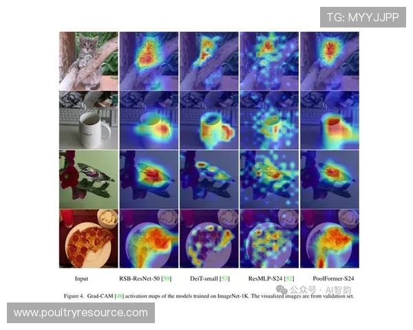 专业玩家必备的骰宝图片素材，提升你的游戏策略与视觉体验
