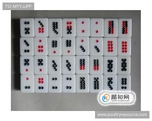 二八杠大小顺序图片高清版下载及实用攻略帮助玩家快速识别牌面大小顺序提升游戏胜率