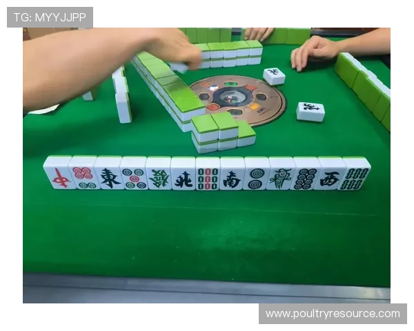 二人麻将真人版玩法技巧分享,轻松掌握赢牌秘诀享受真实体验 二人麻将真人版玩法技巧分享,轻松掌握赢牌秘诀享受真实体验