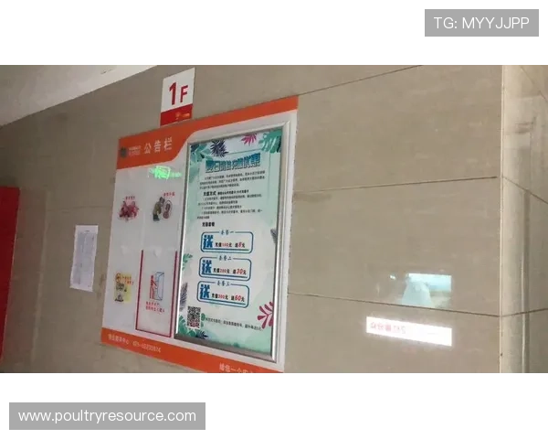 亚洲必赢平台多平台支持，手机电脑多设备畅玩无障碍，随时随地享受精彩游戏