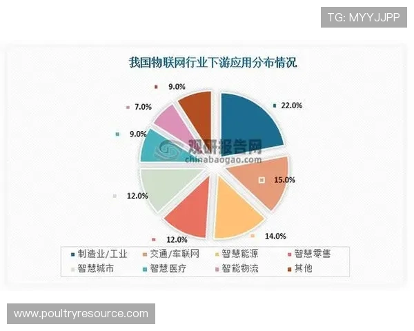 从传统到现代，骰宝游戏的发展历程与未来趋势分析