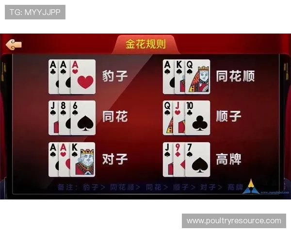 优质炸金花官网下载资源,快速下载安装无广告干扰体验极佳 优质炸金花官网下载资源,快速下载安装无广告干扰体验极佳