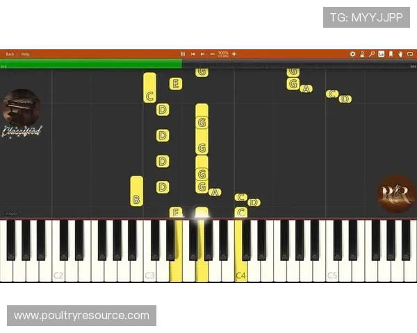 全面解析买大小游戏中的规则与技巧让你轻松掌握投注诀窍 全面解析买大小游戏中的规则与技巧让你轻松掌握投注诀窍