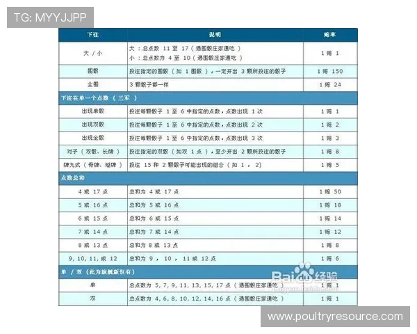 全面解析骰宝游戏规则与策略,助你在赌场中稳操胜券 全面解析骰宝游戏规则与策略,助你在赌场中稳操胜券