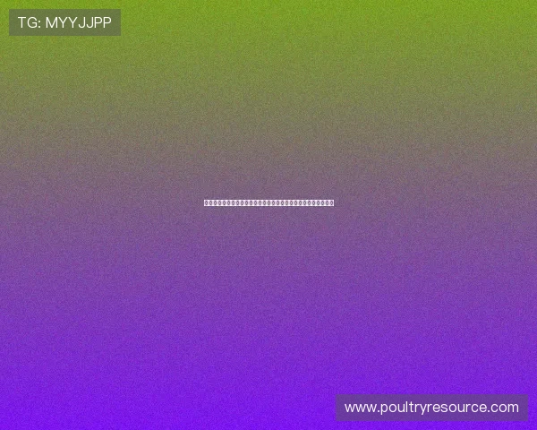 凯发沙巴体育安全保障措施全面升级确保玩家资金与信息安全无忧 凯发沙巴体育安全保障措施全面升级确保玩家资金与信息安全无忧