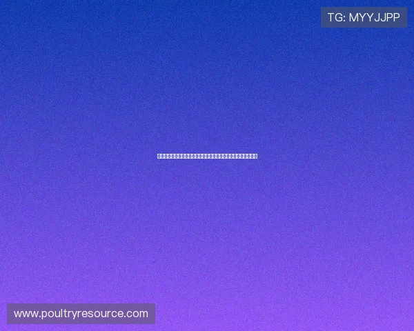 加入快乐娱乐平台享受专业客服支持,解决游戏中遇到的各种问题 加入快乐娱乐平台享受专业客服支持,解决游戏中遇到的各种问题