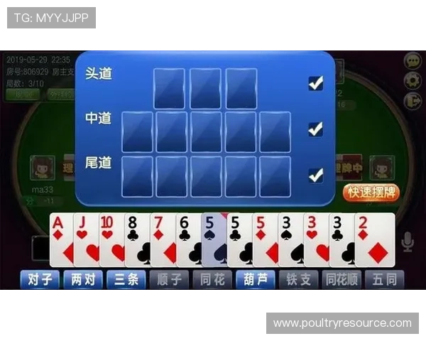 十三水玩法新手入门指南:从零开始学习游戏规则与玩法技巧 十三水玩法新手入门指南:从零开始学习游戏规则与玩法技巧