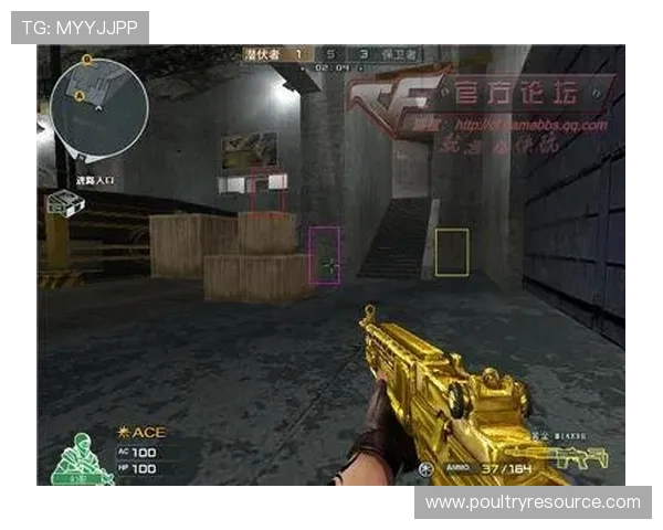 博彩直营平台优惠活动全面解析，助你轻松提升游戏盈利水平