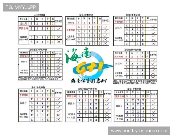 基诺彩票是中国人发明的：如何参与购买及提高中奖几率的实用技巧