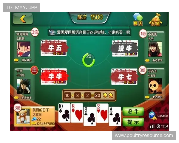 天天棋牌app下载安装最新版本，安全稳定的游戏下载指南推荐