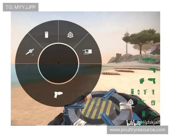 如何利用自定义轮盘功能满足不同玩家的个性化需求提升游戏的趣味性和用户满意度 如何利用自定义轮盘功能满足不同玩家的个性化需求提升游戏的趣味性和用户满意度