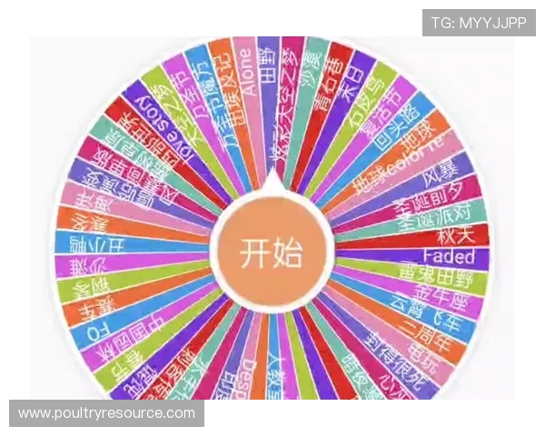 如何利用在线随机转盘提升游戏体验和增加获胜几率的实用技巧指南 如何利用在线随机转盘提升游戏体验和增加获胜几率的实用技巧指南