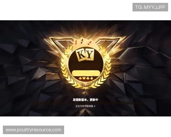 如何快速下载安装开元国际ky游戏客户端确保安全与稳定运行