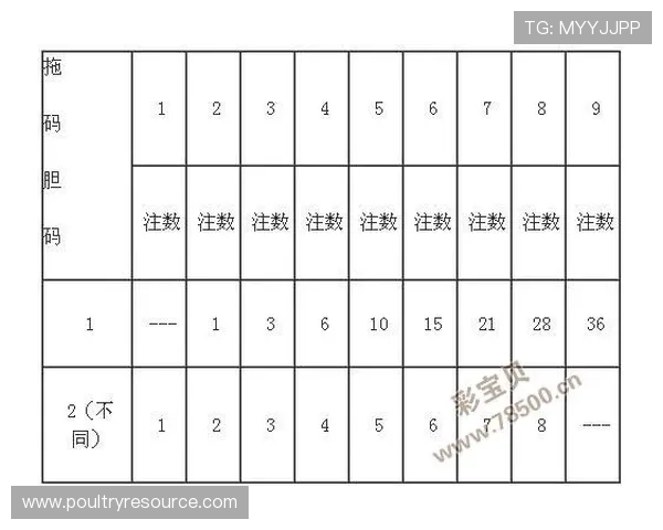 如何选择K8凯发滚球的最佳投注方案实现游戏中的持续盈利目标