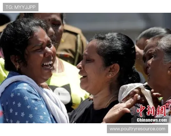 如何选择靠谱的亚洲必赢平台避免陷入虚假网站保障您的资金安全