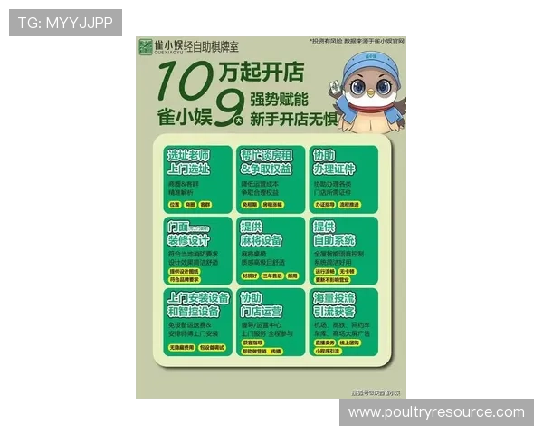 娱网棋牌最新版本上线，丰富玩法助你轻松享受休闲娱乐时光