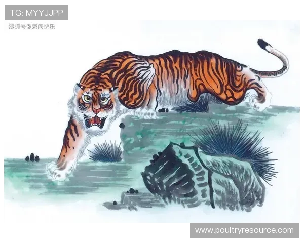 属龙和属虎的性格冲突与化解方法：打造和谐团队关系的实用攻略