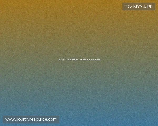 必赢bwin注册页面最新版本更新内容及操作指南，确保使用无障碍