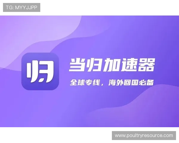 必赢亚洲入口官网助力玩家实现娱乐与盈利双赢，提供便捷的充值提现和安全保障服务