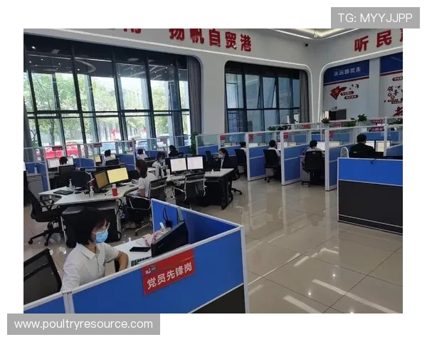 必赢国际平台网站客户服务专业，全天候在线解答玩家疑问提供贴心周到的服务保障