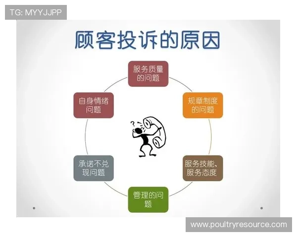 必赢娱乐城客户服务与投诉处理流程全方位保障玩家权益