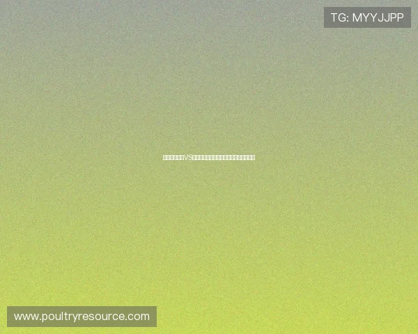 世界杯苏格兰VS摩洛哥比赛时间公布及比赛地点详细信息 世界杯苏格兰VS摩洛哥比赛时间公布及比赛地点详细信息