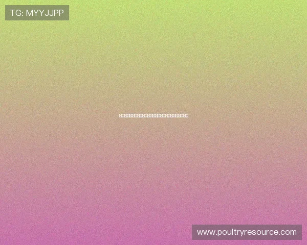 摩洛哥海地世界杯球场的容量、座位布局及观众体验全面解析 摩洛哥海地世界杯球场的容量、座位布局及观众体验全面解析