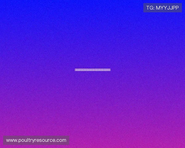 海地与苏格兰比赛打法对比分析及战术布置深度解析 海地与苏格兰比赛打法对比分析及战术布置深度解析