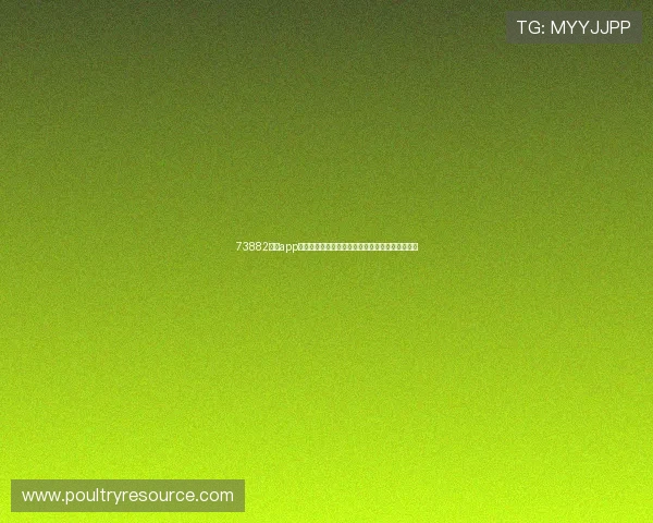 73882必赢app下载功能介绍与使用技巧,助你轻松赢取游戏胜利 73882必赢app下载功能介绍与使用技巧,助你轻松赢取游戏胜利
